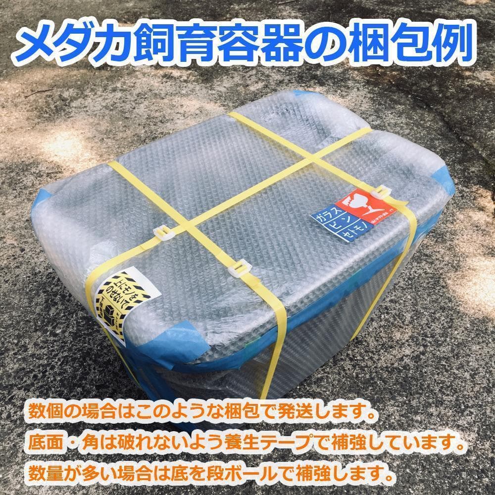 【新仕様】メダカ飼育ケース 75㍑黒x3個 オーバーフロー加工済 金魚飼育容器