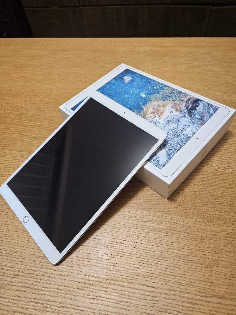Apple iPad Pro (第2世代) 512GB 【ジャンク品】