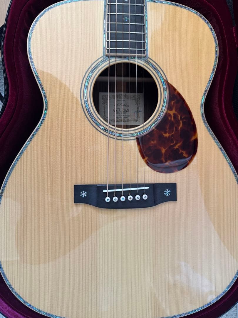 ギター ASTURIAS ec-emblem