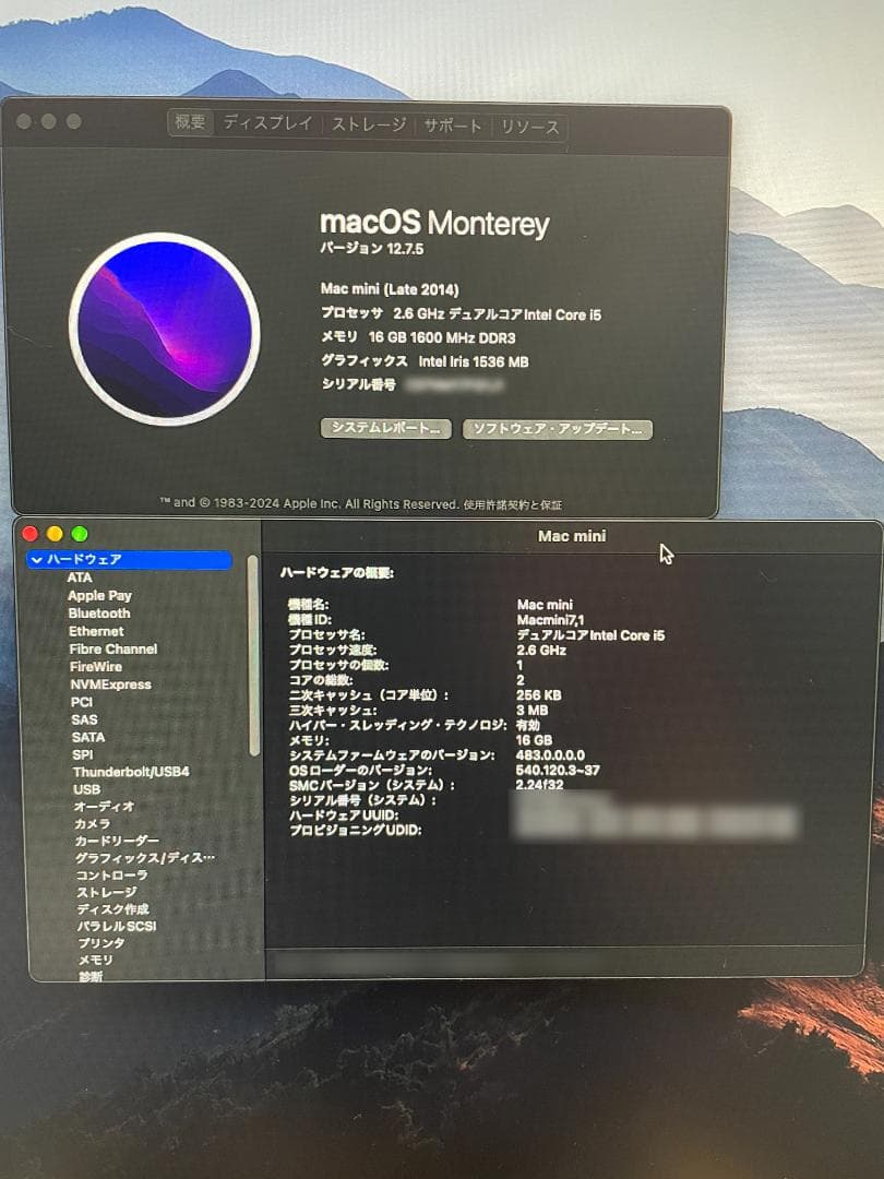 Macデスクトップ Mac mini Late 2014 Core i5 16GB 256GBSSD