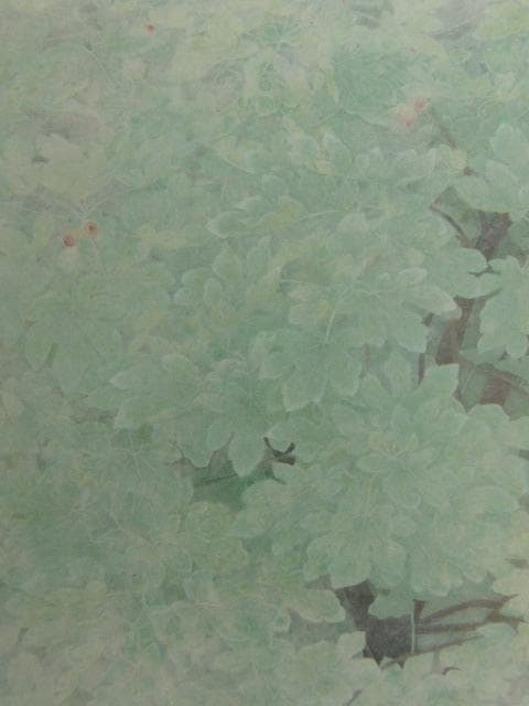 渡辺信喜、【無花果】、希少な額装用画集より、新品額装付