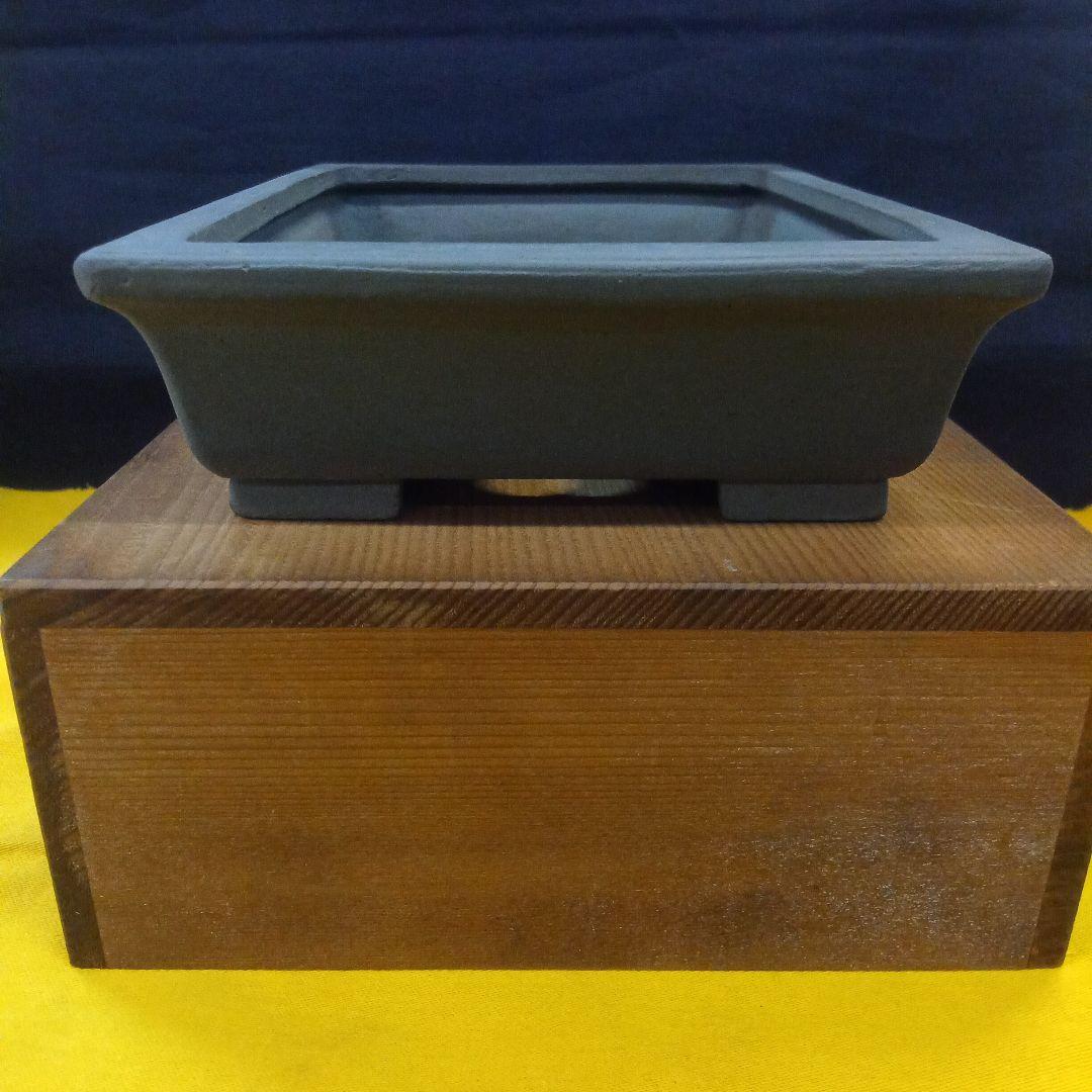 015.【寿悦】烏泥/外縁長方鉢/ミニ盆栽鉢/木箱付き