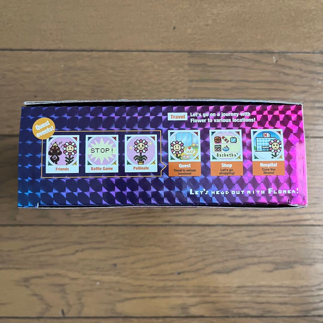 FLOWER GO WALK RAINBOW フラワーゴーウォークレインボー