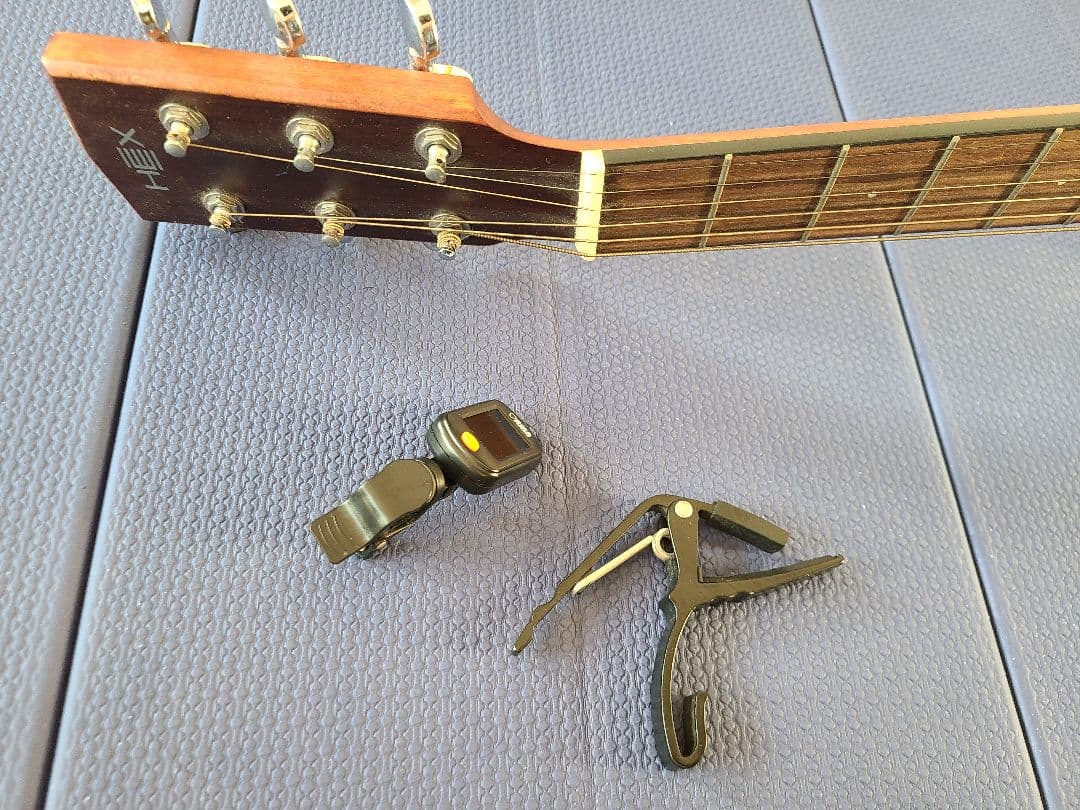 アコースティックギター HEX F100 M ケース付き 美品