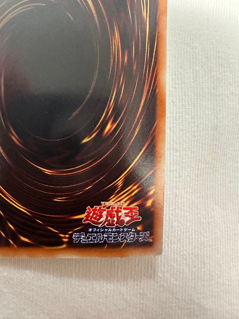 テイブラック•ローズ•ドラゴン　　ホロ