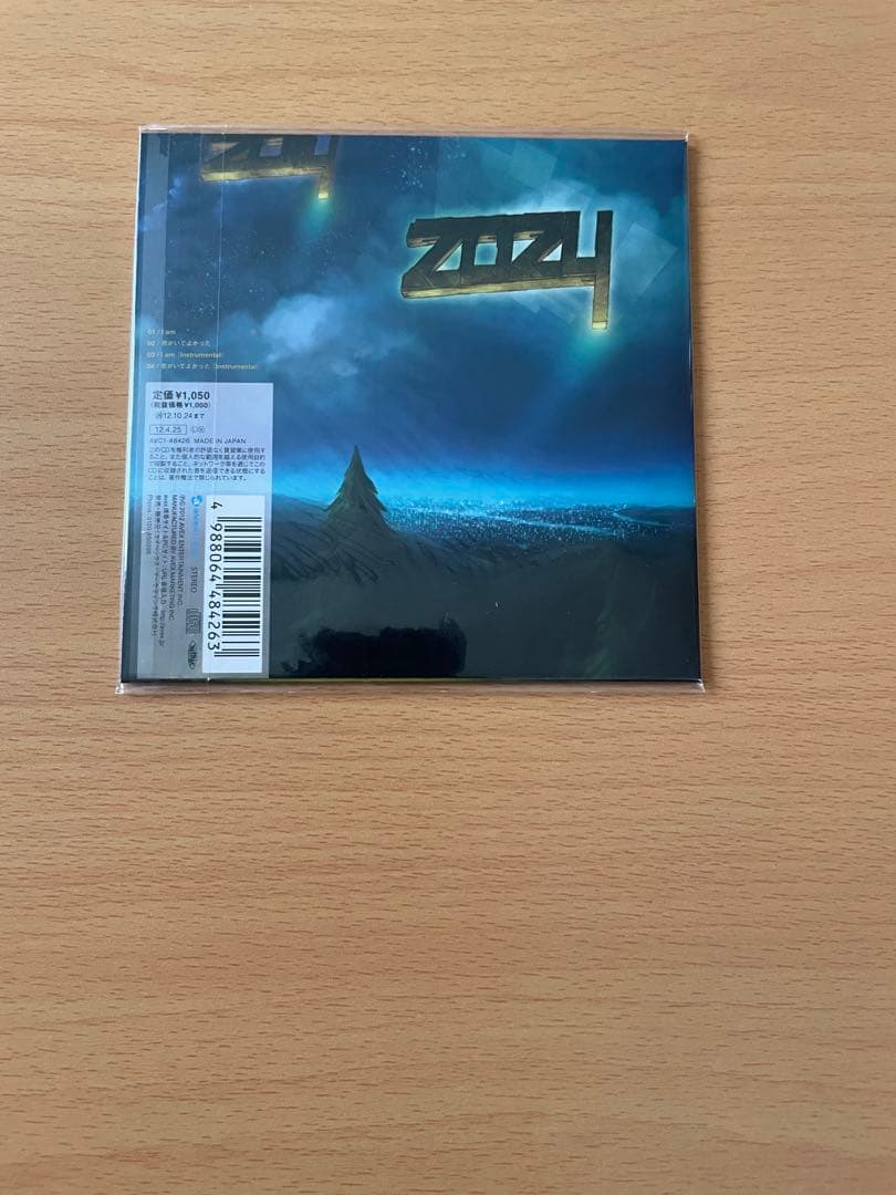 TM NETWORK Incubation Period パンフCD DVD