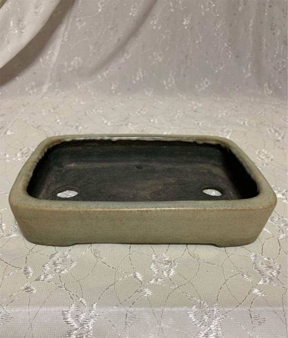 鴻陽　やや大きめ　盆栽鉢