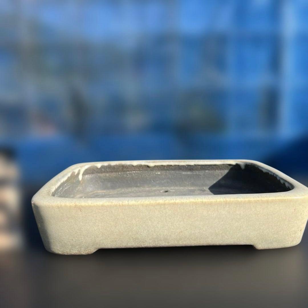 鴻陽　やや大きめ　盆栽鉢