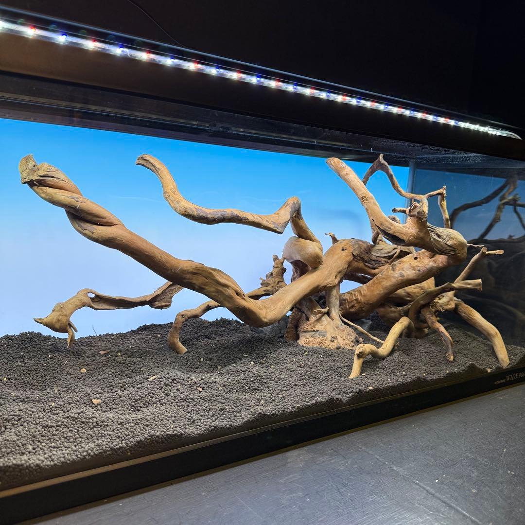 MDW-7146 ブランチウッドレイアウトセット　90cm水槽用流木　枝流木