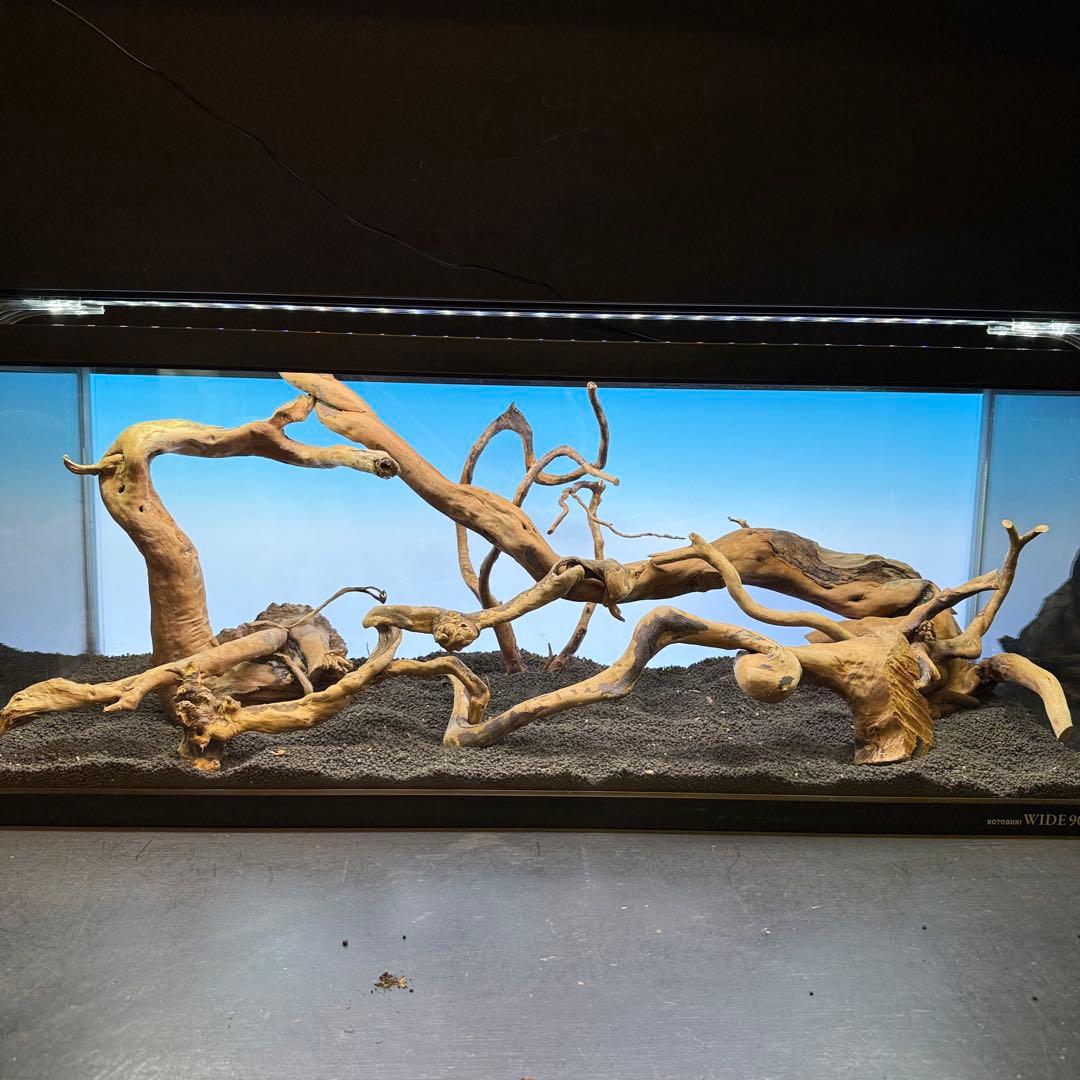 MDW-7146 ブランチウッドレイアウトセット　90cm水槽用流木　枝流木