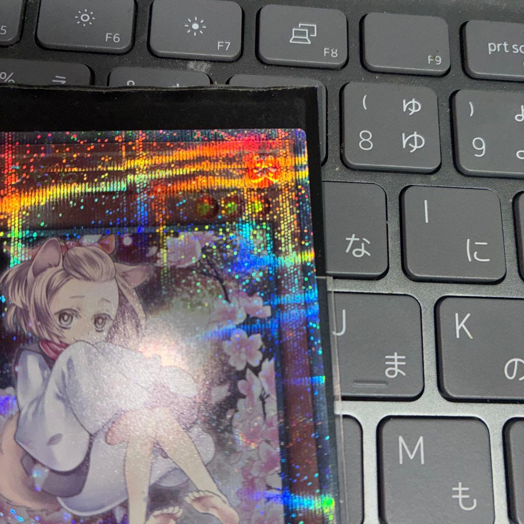 灰流うらら はるうらら　25th 絵違い　クオシク 遊戯王