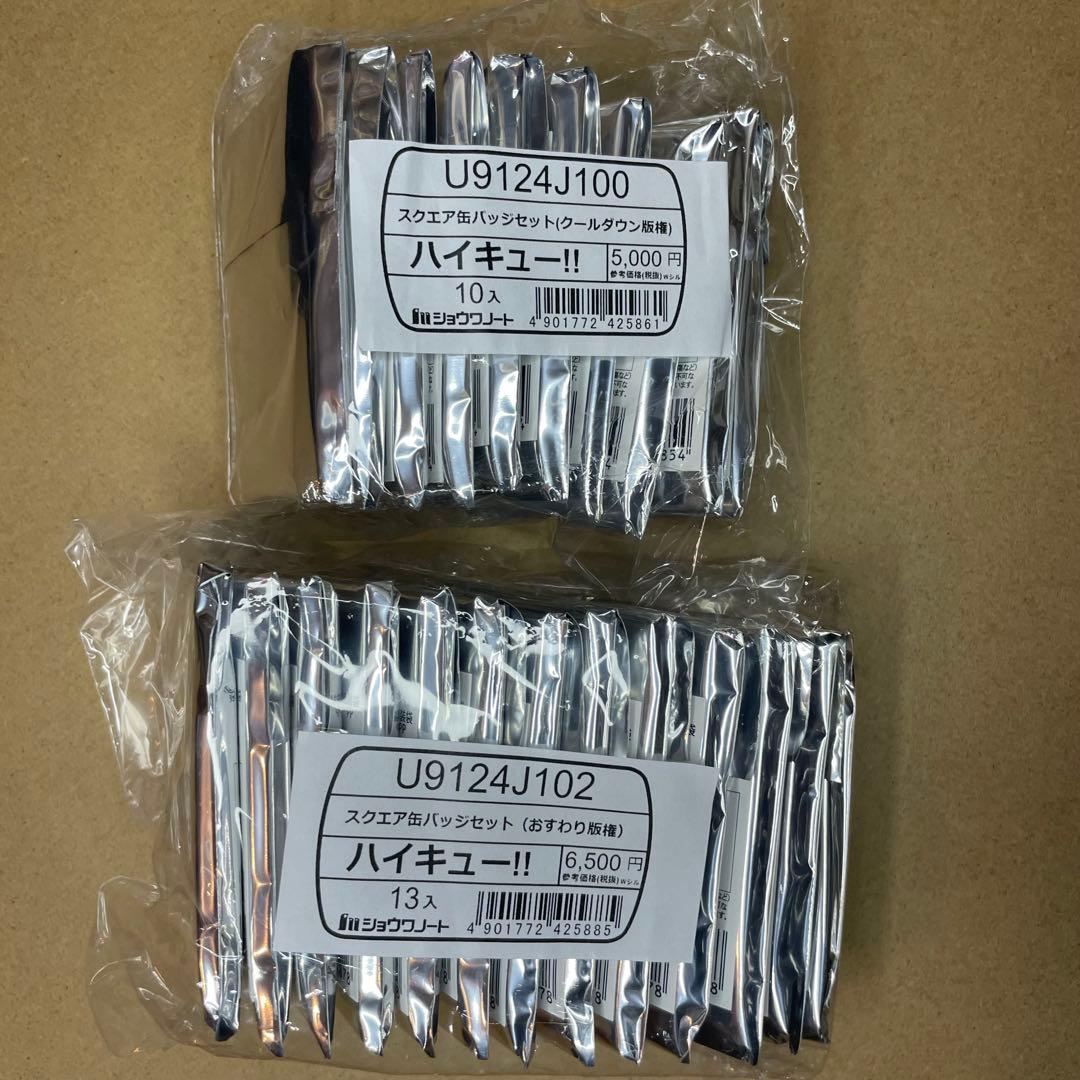 ハイキュー！！ スクエア缶バッジ クールダウン おすわり セット 23種