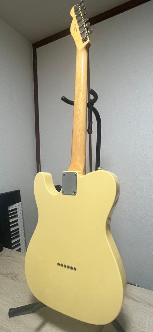Fender Telecaster (ソフトケース付)
