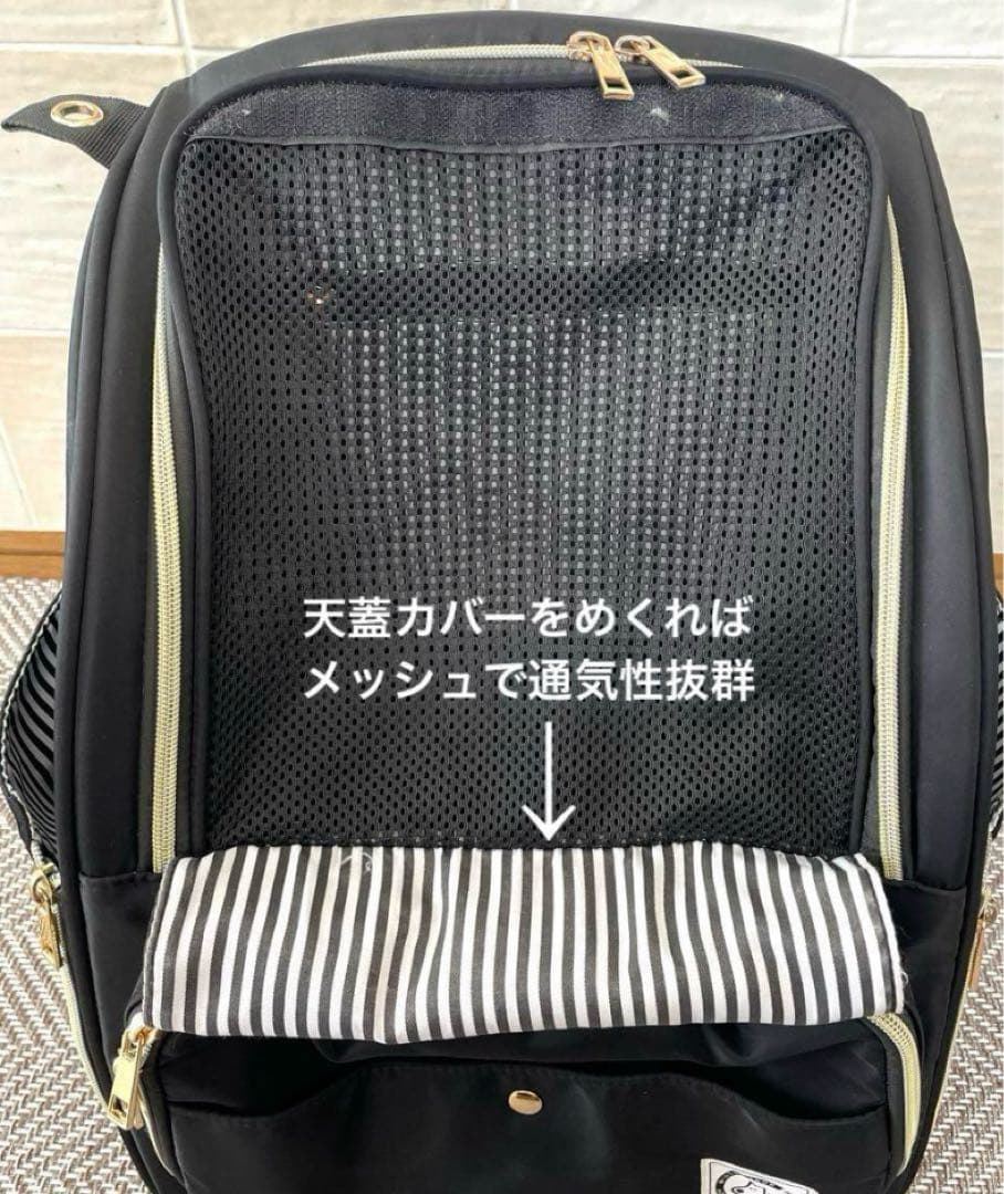 ペット用ナイロン製黒リュック・ストライプ内装