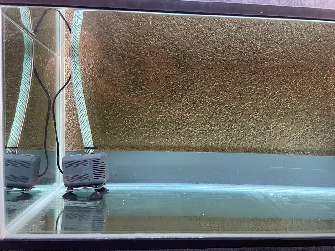 120cm 水槽　大阪府茨木市引取り限定　上部フィルター