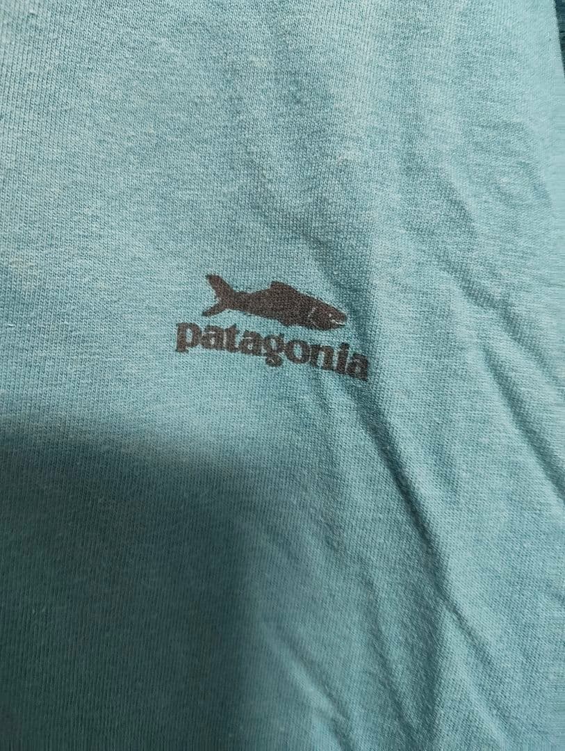 超希少！USA製！雪無しXL！Patagonia サーモンTシャツ