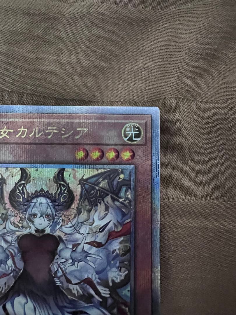 赫の聖女カルテシア　イラスト違い 25th