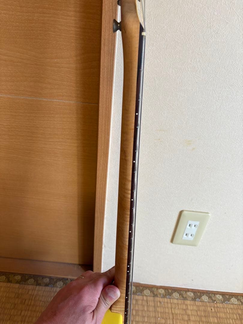 フェルナンデス　Zo-3 イエロー