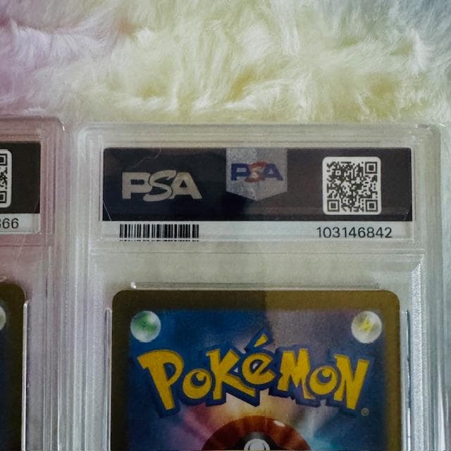 ⭐ニンフィアex SAR PSA10⭐ 特典付イーブイex SAR PSA10