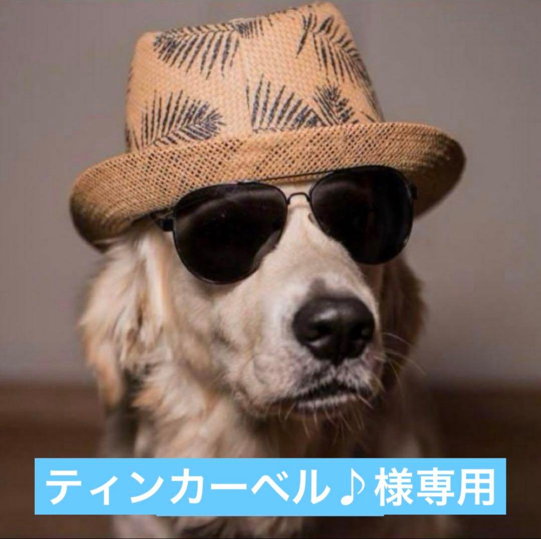 ティンカーベル♪