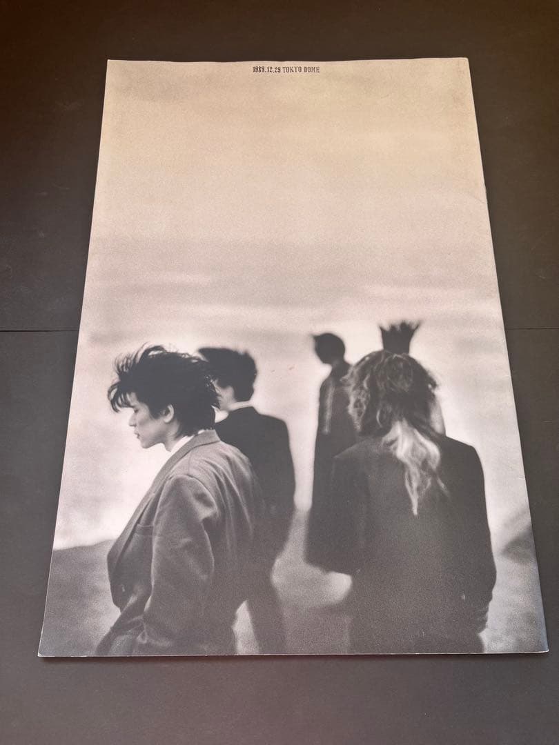 【希少美品BUCK-TICK1989年東京ドームツアーパンフレット＋当時チケット