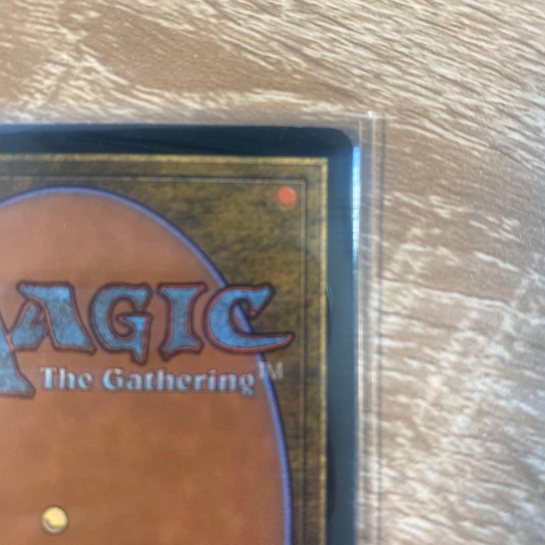 【Foil】《樹木茂る山麓/Wooded Foothills》[ONS]英語版