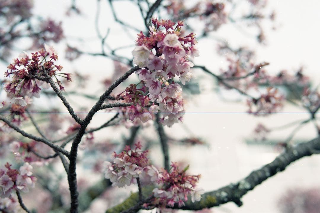 ASAHI PENTAX 67 中判カメラ