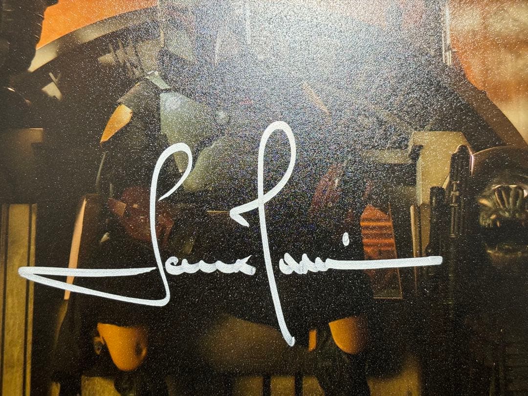 大阪 コミコン ハリコンくじ テムエラモリソン サイン 直筆サイン東京