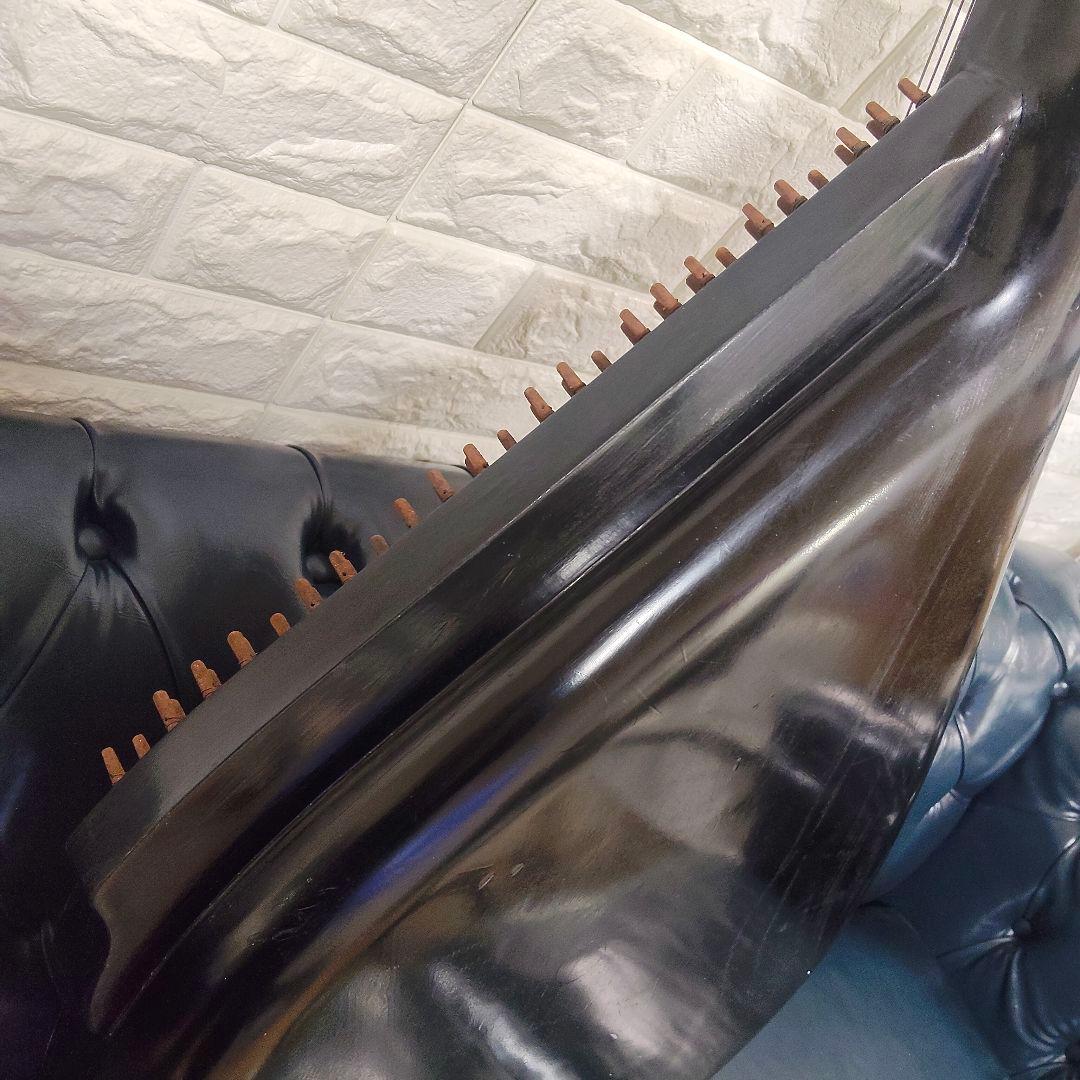 ​【希少】民族楽器 バンドゥーラ 55弦 1987年製 チェルニヒフ製