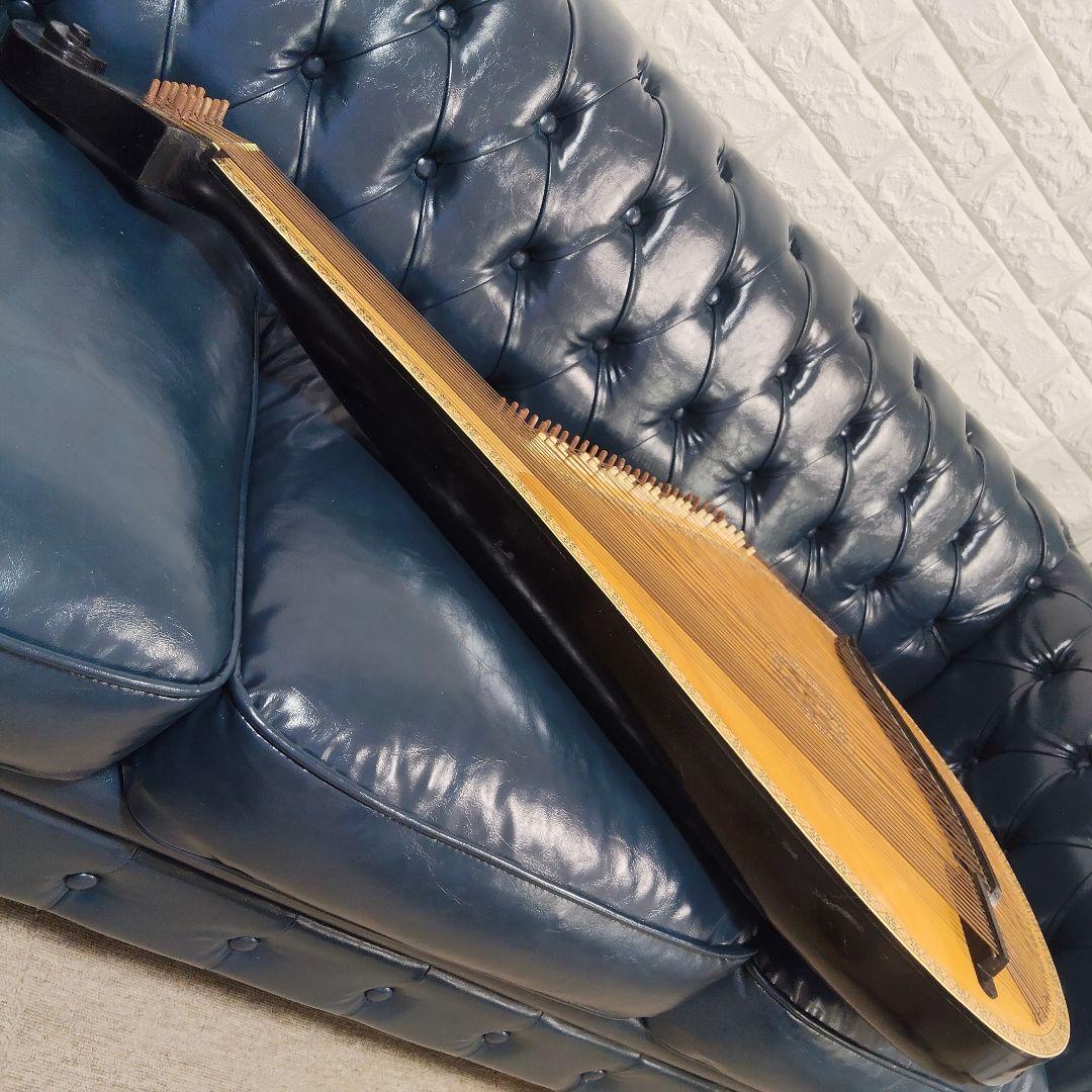 ​【希少】民族楽器 バンドゥーラ 55弦 1987年製 チェルニヒフ製