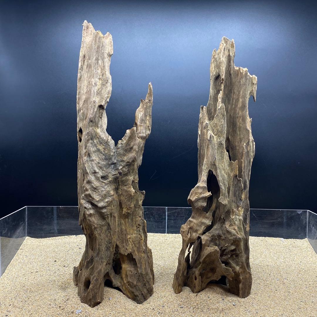 MMW-6402 自立マシンガンウッド2本セット　流木　アクアリウム