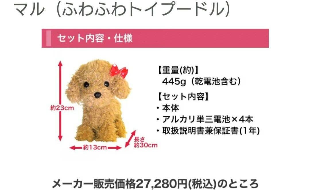 いっぱい元気におしゃべりするトイプードルがとても元気よく踊ったりもします♪