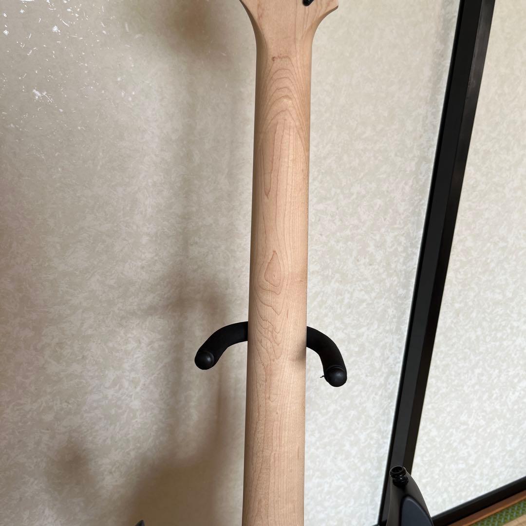 ギター Ibanez RG421EX