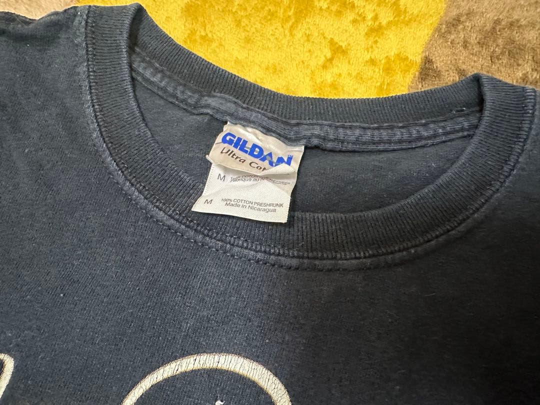 GILDAN半袖Tシャツ　テイラースウィフトライブTシャツ