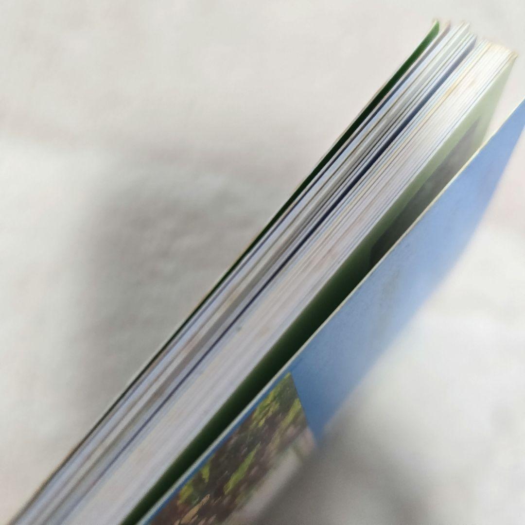 ピカチュウのだいぼうけん ポストカードブック2