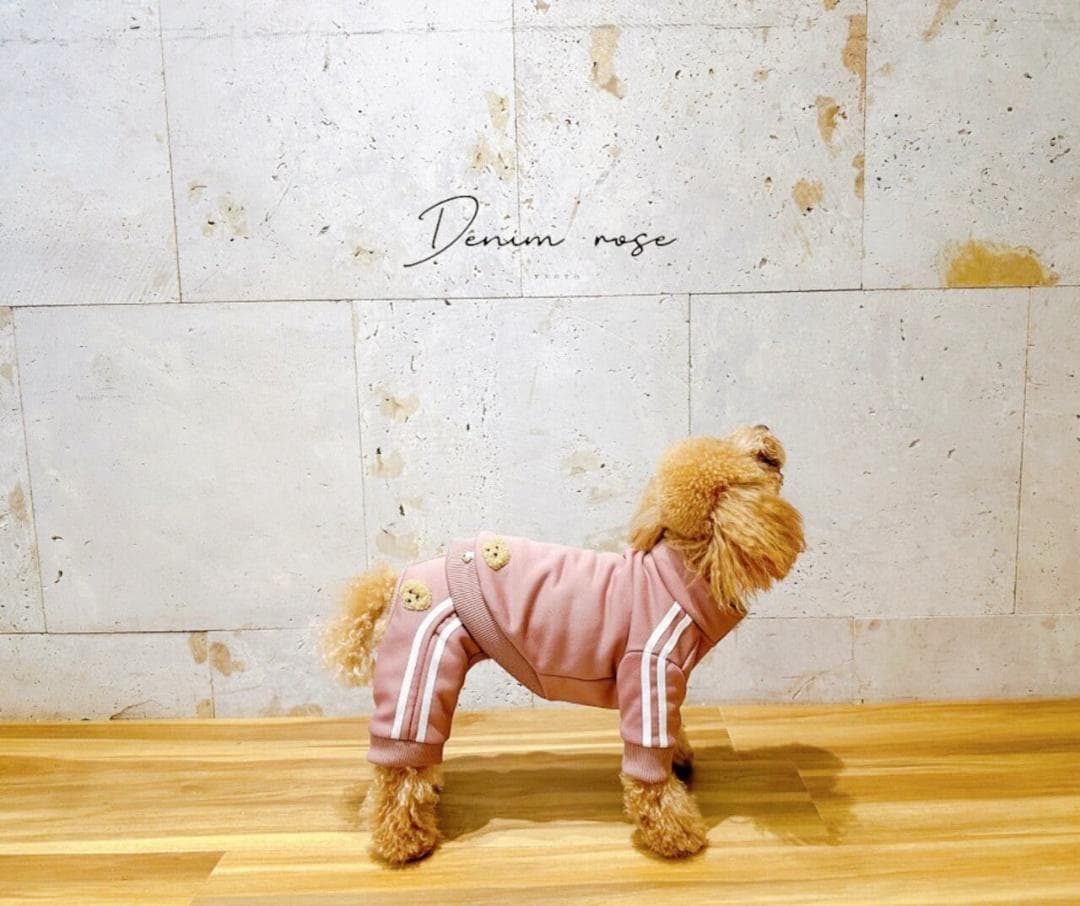 DENIM ROSE ワッペンジャージジャケット