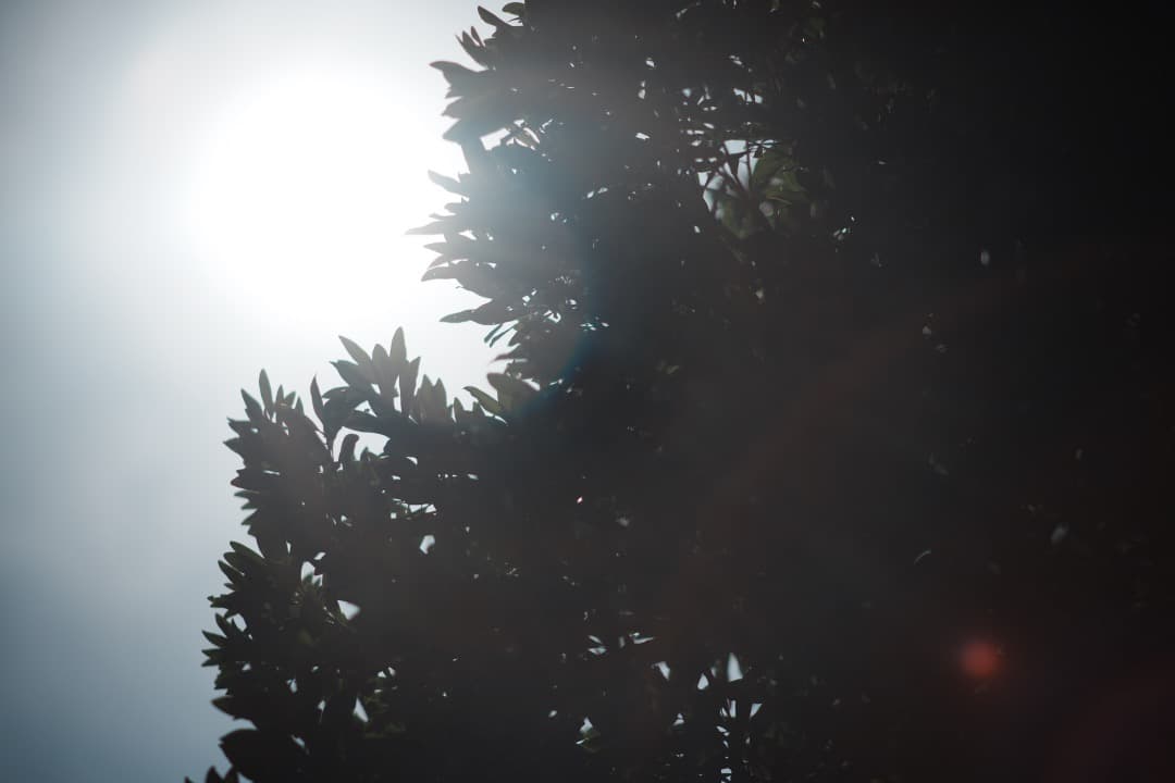 【極美品】ミノルタ MC-ROKKOR PF 85mm F1.7 後 663