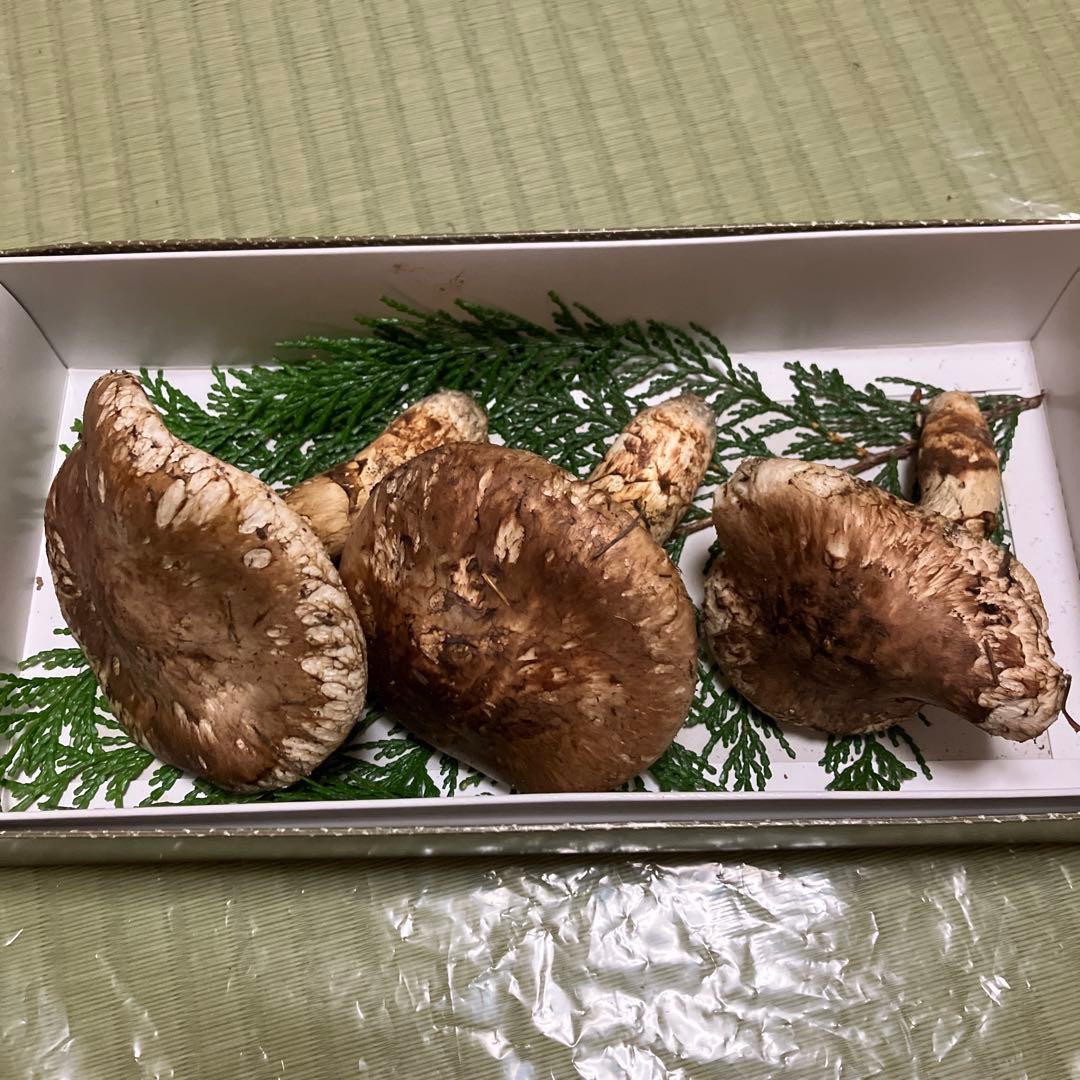 南信州産 天然松茸 185ｇ
