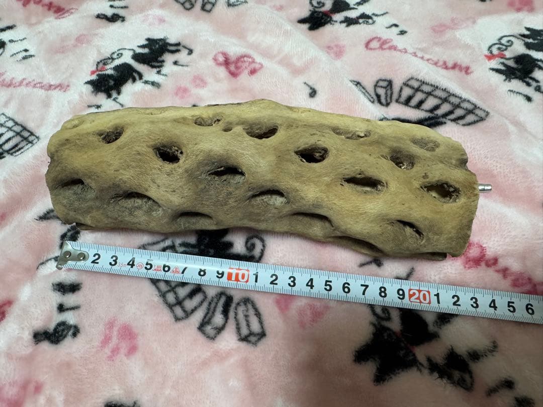 カクタスパーチ　手作り　ハンドメイド