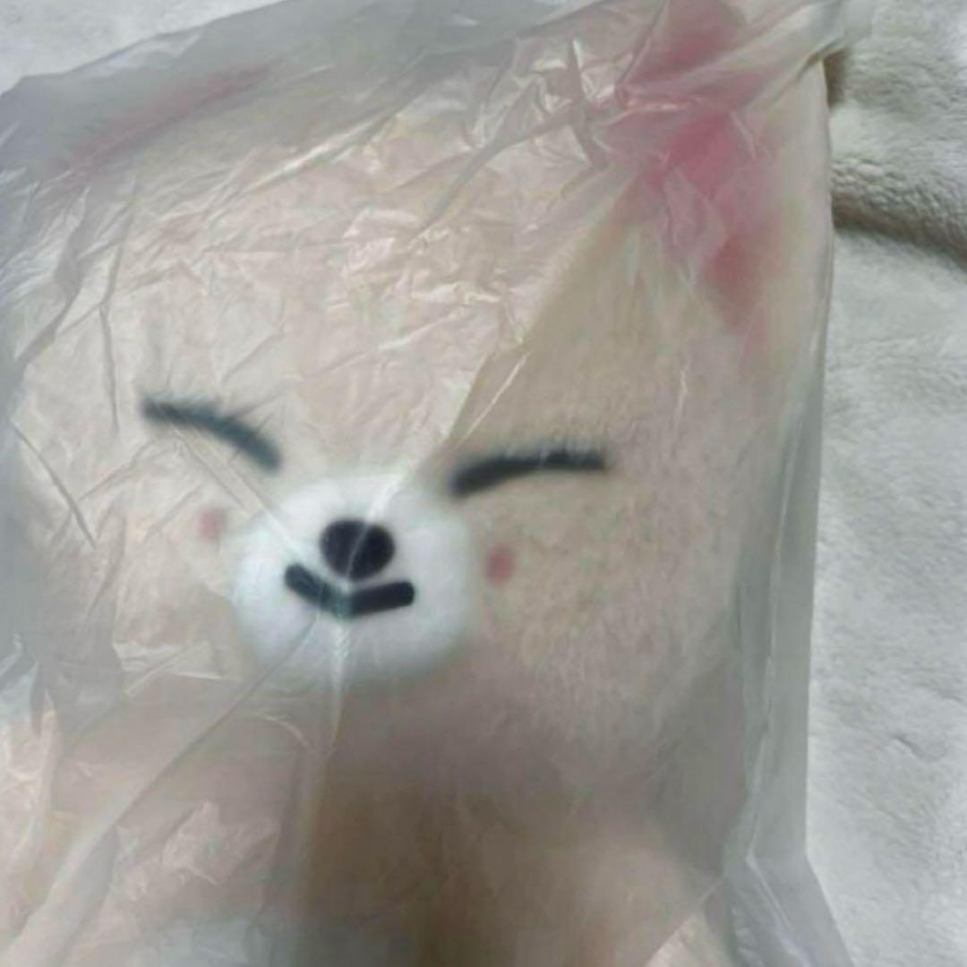 る*き様 Stray Kids SKZOO テディベア FoxI.Ny