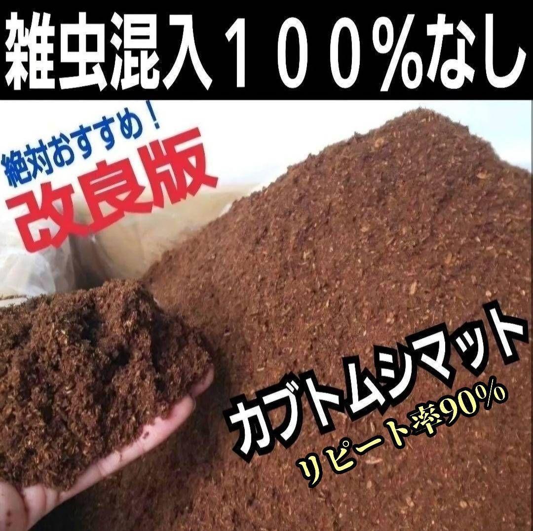 カブトムシの産卵に抜群！ヒマラヤひらたけ発酵マット【60L】雑虫がわきません！