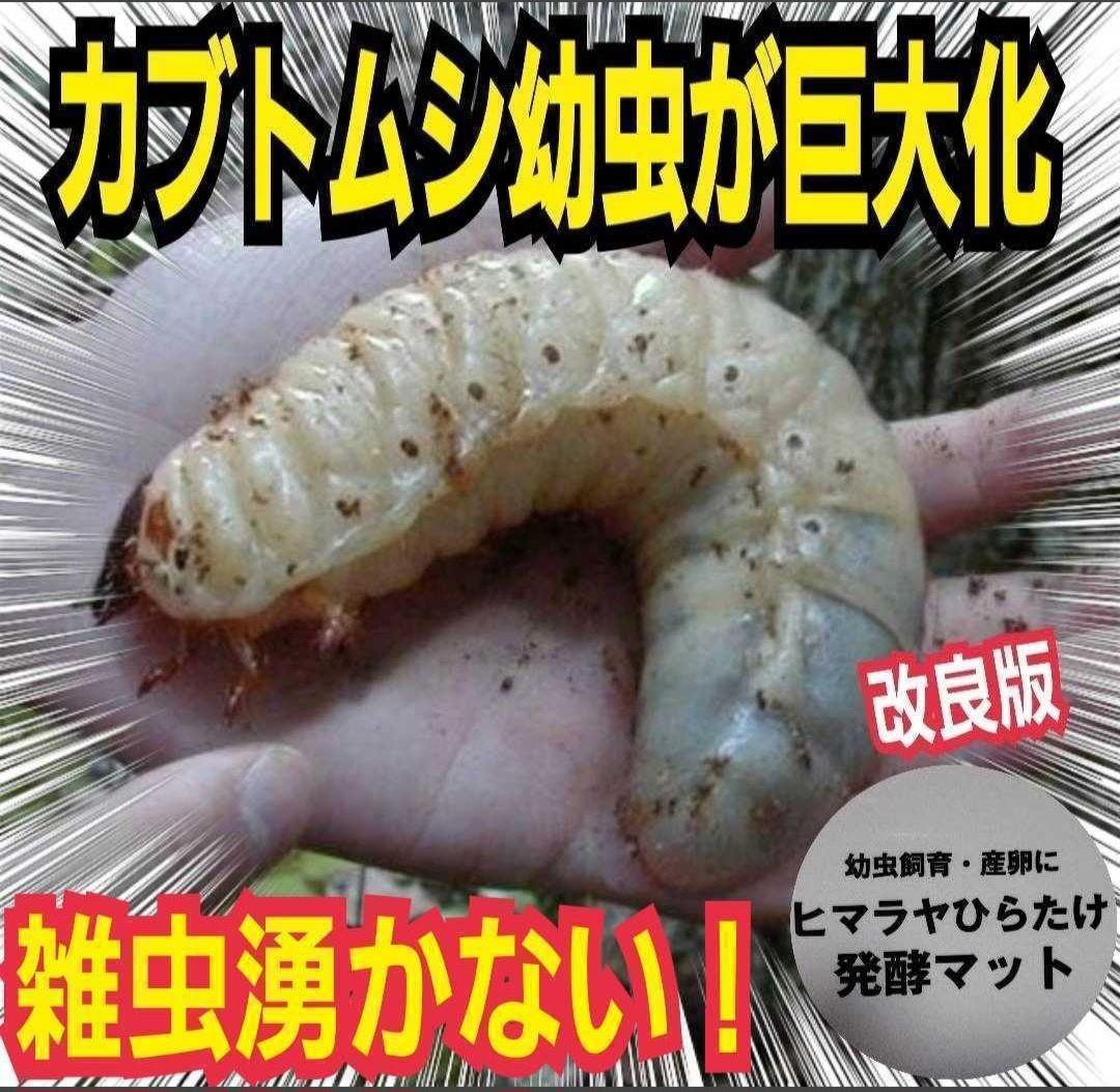 カブトムシの産卵に抜群！ヒマラヤひらたけ発酵マット【60L】雑虫がわきません！