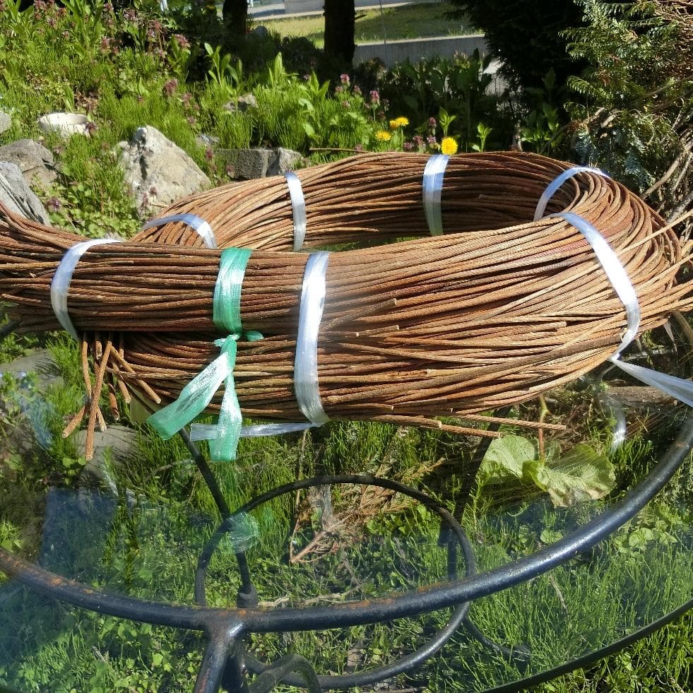 青森岩木山採取　あけび蔓　150cm～ 1.5kg