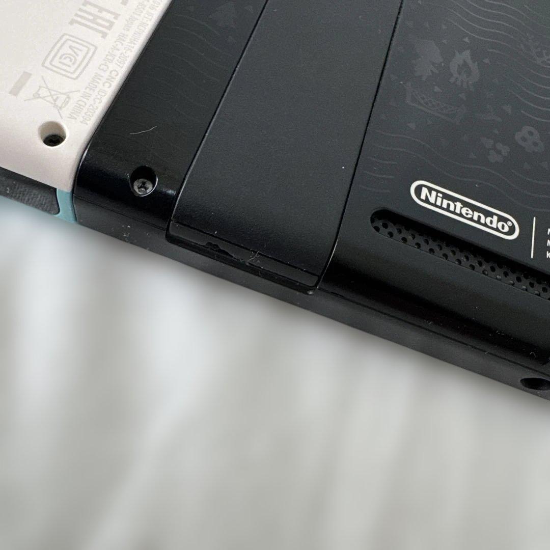 Nintendo Switch あつまれどうぶつの森版 本体セット ケース付