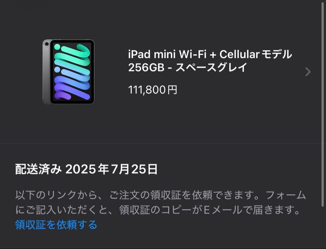 【超美品】iPad mini7 256G Apple pencil Proセット