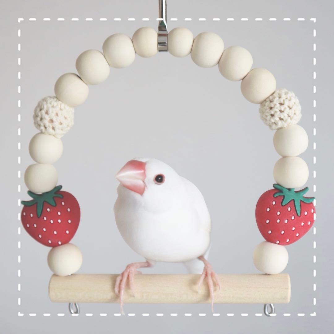 【n①】ことりのおおきなあそびば