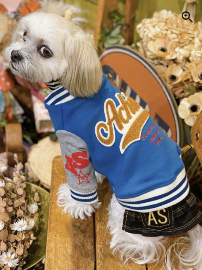 HAPPY☆スタジャン　新品　asknowasdewan アズノゥアズデワン