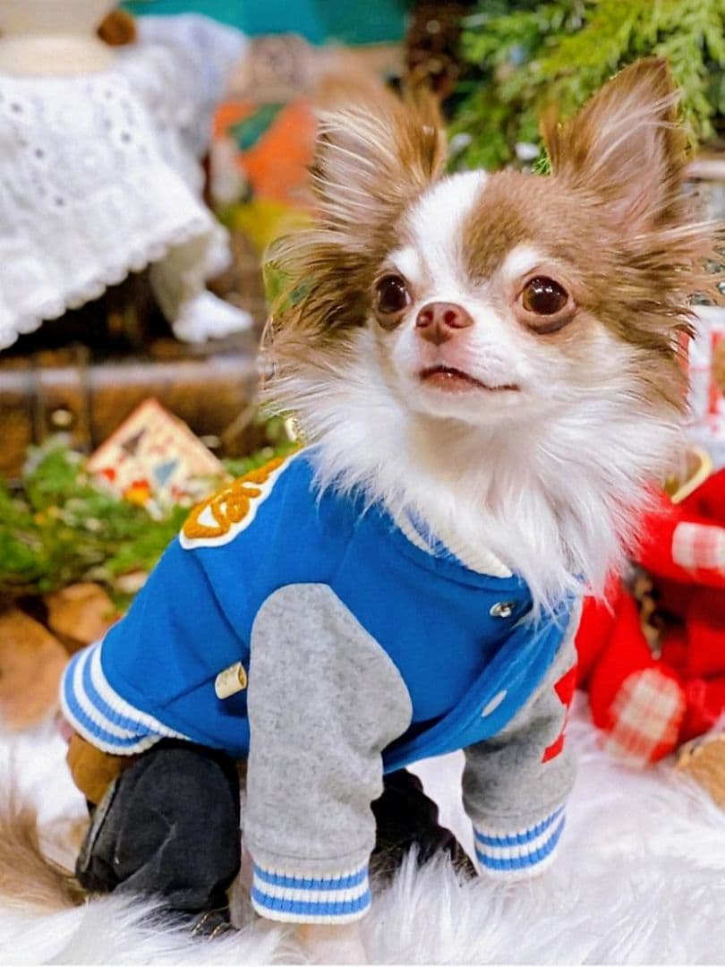 HAPPY☆スタジャン　新品　asknowasdewan アズノゥアズデワン