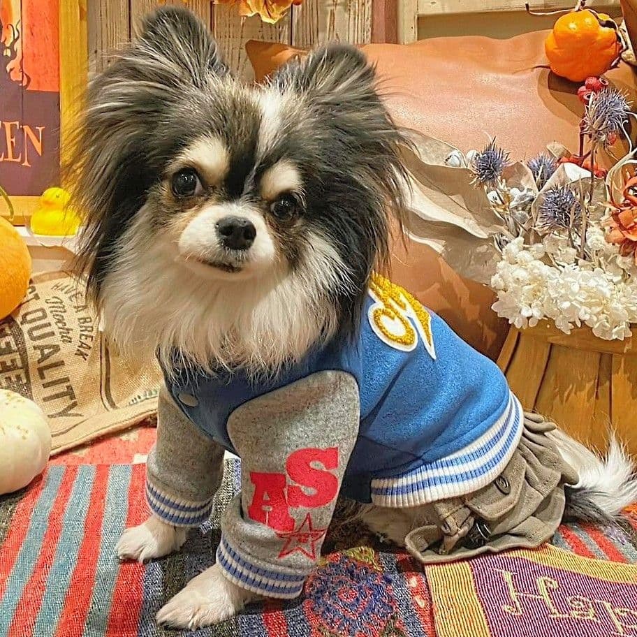 HAPPY☆スタジャン　新品　asknowasdewan アズノゥアズデワン