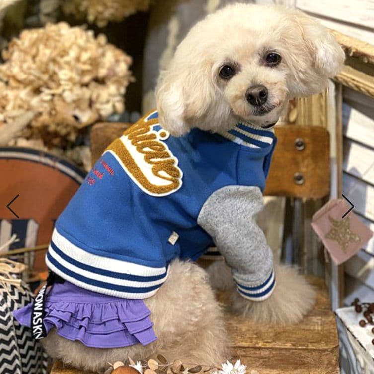 HAPPY☆スタジャン　新品　asknowasdewan アズノゥアズデワン